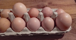 Eggs