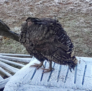 20180106_090251