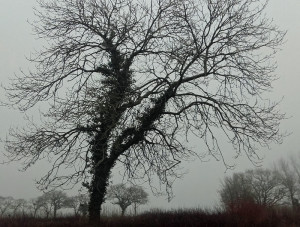 20180130_145438