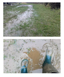 Jan2018-Wet1