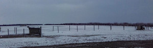 EmptyPaddocks17-3-2018