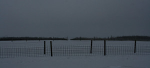 EmptyPaddocks2-3-2018