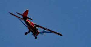 IMG_1936