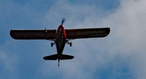 IMG_1941