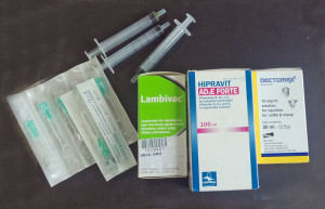 InjectionsSept2018