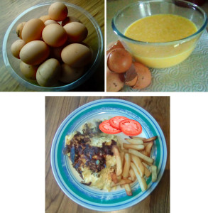 CheeseOnionOmlette