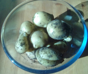 PotatoesOct2018