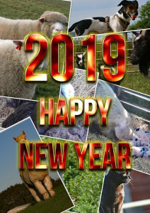 2019MMF
