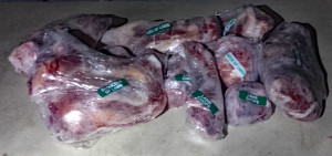 Lamb2018