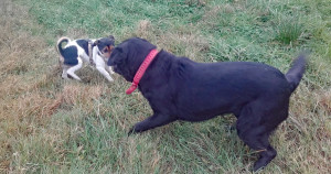 PlayTime
