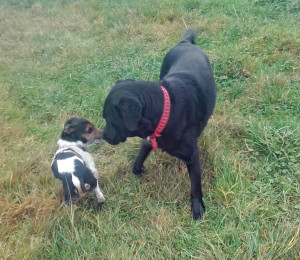 PlayTime2