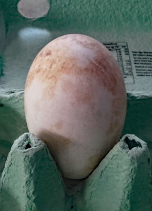GooseEgg