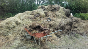 MuckingOutBarn