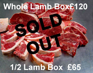 LambBoxes