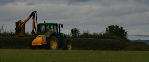 Hedge